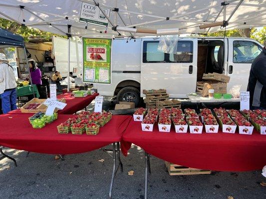 Pinole Farmers' Market