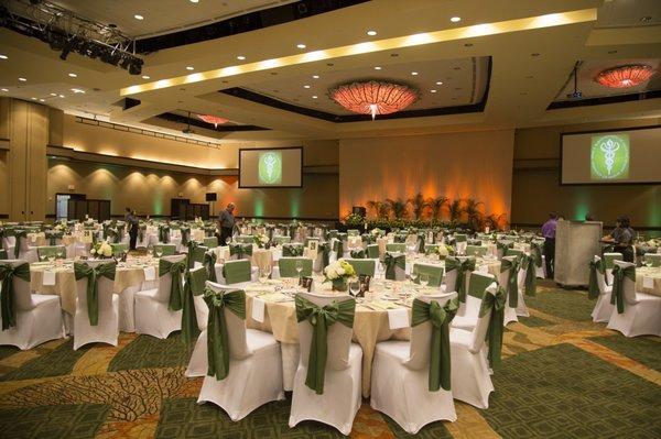 Chair covers and satin green sashes at the Sheraton Waikiki.