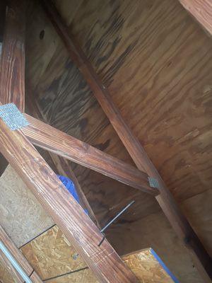 Another rotted spot in my roof that they covered