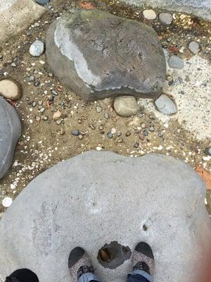 Empty winter wading pool