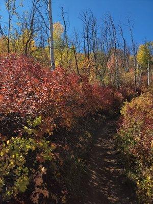 Hike with amazing colors all around.