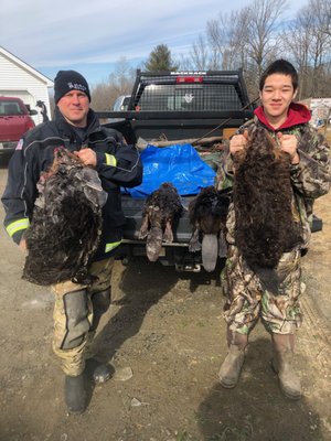 Some of the beavers trapped that flooded out a road and damaging property.