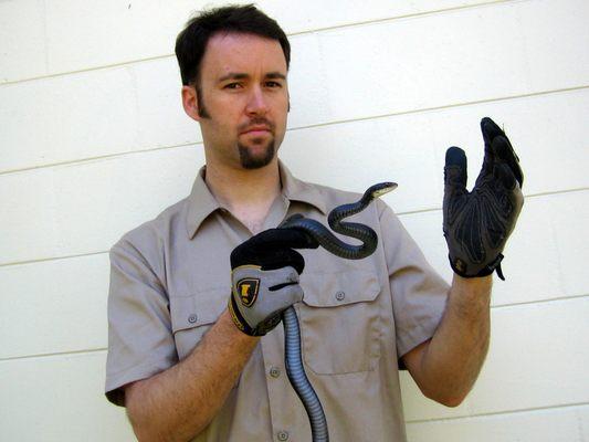 Pest Animal Removal Tucson