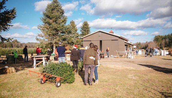 Chestnut Mountain Christmas Tree Farm