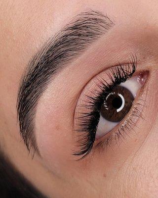 Brow Shape