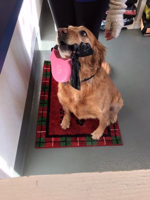 She is checking herself in to the salon!