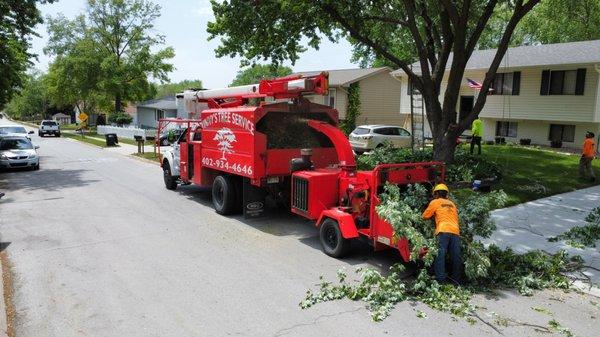 Vinny's Tree Service