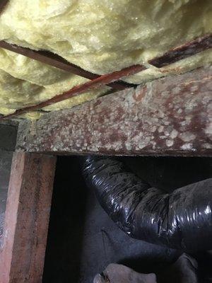 Crawlspace humidity