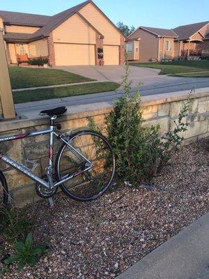 Landscape maintenance is an ongoing problem. The entrance to my development grows tall weeds. HMS regularly violates their own covenants.