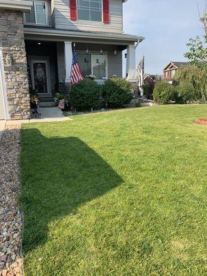 The neighbor's Blue Lives Matter flag, I've seen multiple in the neighborhood before