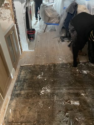 Water Damage Restoration