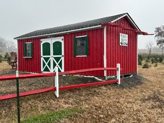 Christmas Tree house makeover! We are getting in the spirit!