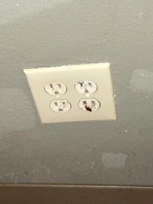 More roaches coming out of outlets