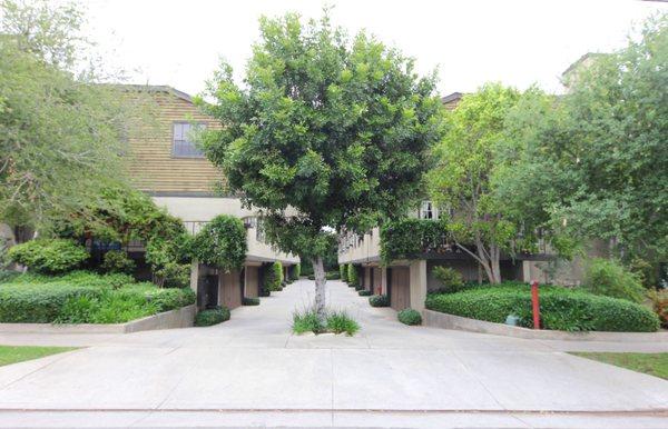 Condominium in Pasadena for sale 2 bedroom 3 bathroom for $625,000