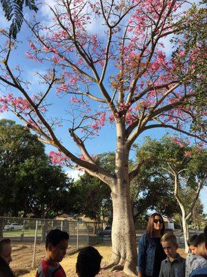 Front of the school on my field trip