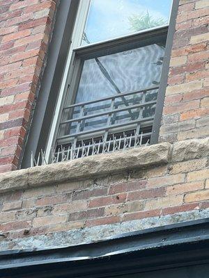 Bird spikes installed on window sills