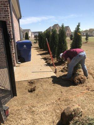 Tree planting,landscaping,lawn care