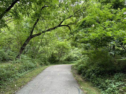 Wooded Trail