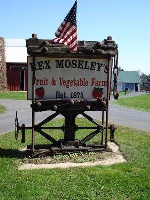 Family Apple Orchard