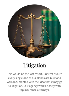 Litigation