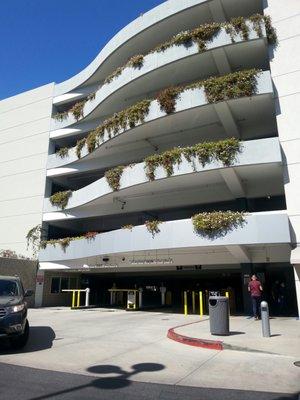 Burbank Medical Plaza II