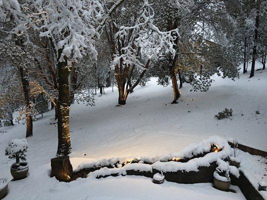 Mace Meadows Snow