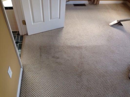 You can see how well the carpet is being cleaned.