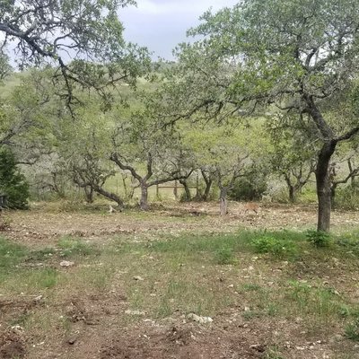 Removed underbrush and cedars so that the customers could make the most of their back yard.