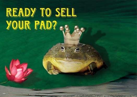 ready to sell ur pad?