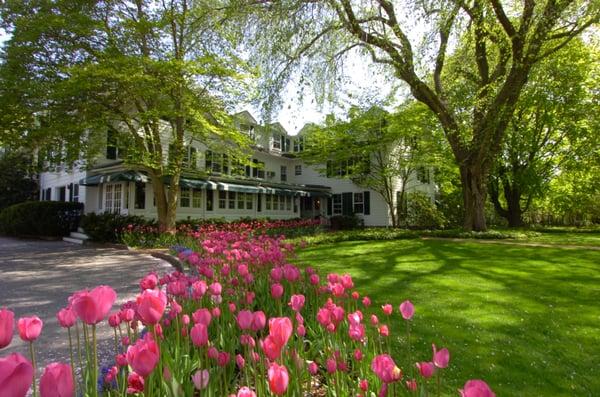 Huntting Inn Spring Tulips