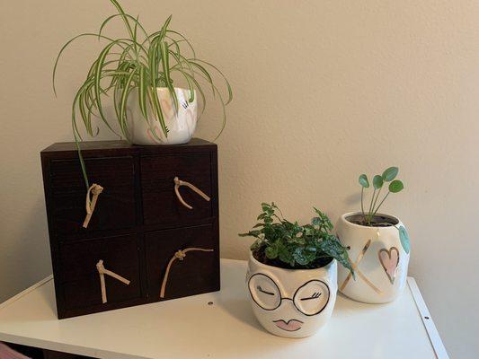 Plants and plant pots from Beno's