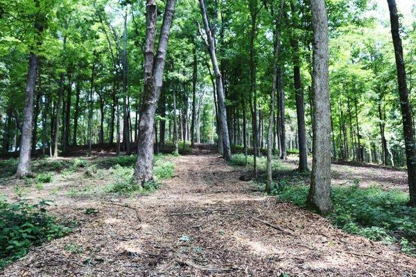 A trail we created wide enough for this client's truck, ATV, or just a beautiful hike!