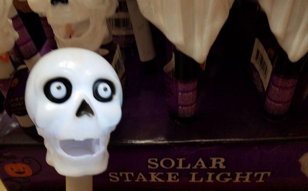 Solar Stake Lights $1