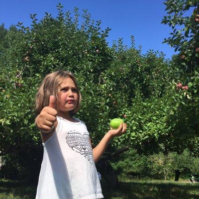 Really sweet orchard with adorable baskets to collect apples. Well-priced!