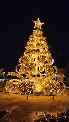 Christmas Tree at Aquatic Center