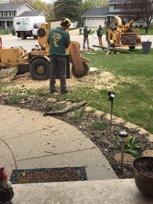 Stump grinding