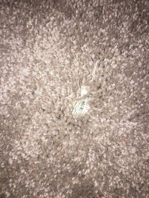 Hole in carpet where you can see to the padding