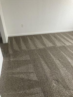 Professional carpet cleaning.