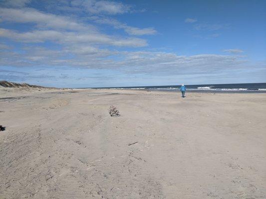 Beach, Oregon Inlet Fed campground in January