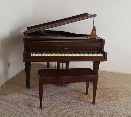 We have a baby grand piano inside our theater!