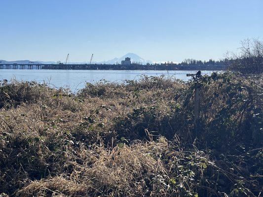 Across the lake from the arboretum, Rainier on a sunny day