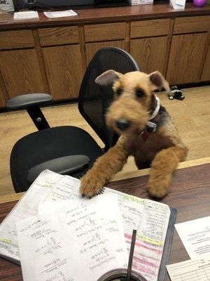 A satisfied customer looks over the schedule.