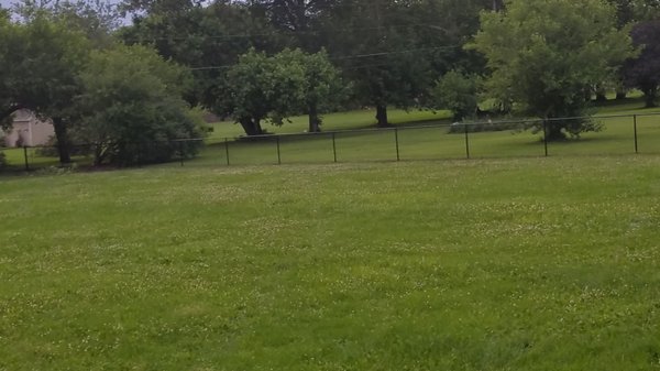 A black vinyl chain link fence was installed throughout the entire backyard,  about 6 inches from the lot line and corner stakes.