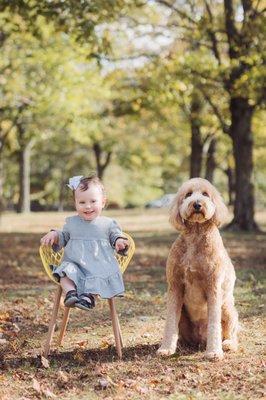 fall mini session