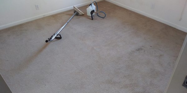 TNT Carpet Cleaning