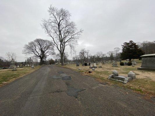 Cedar Grove Cemetery