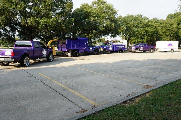 Our purple fleet.