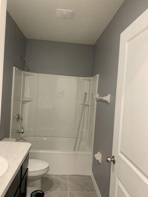 Bathroom paint gray