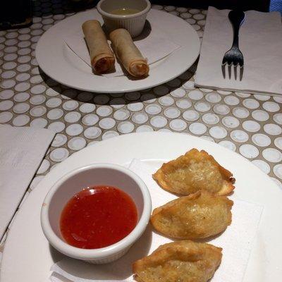 Dumpling and spring roll appetizers