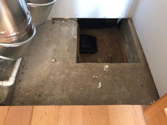 All Natural Pest Elimination Crawl space "before" treatment